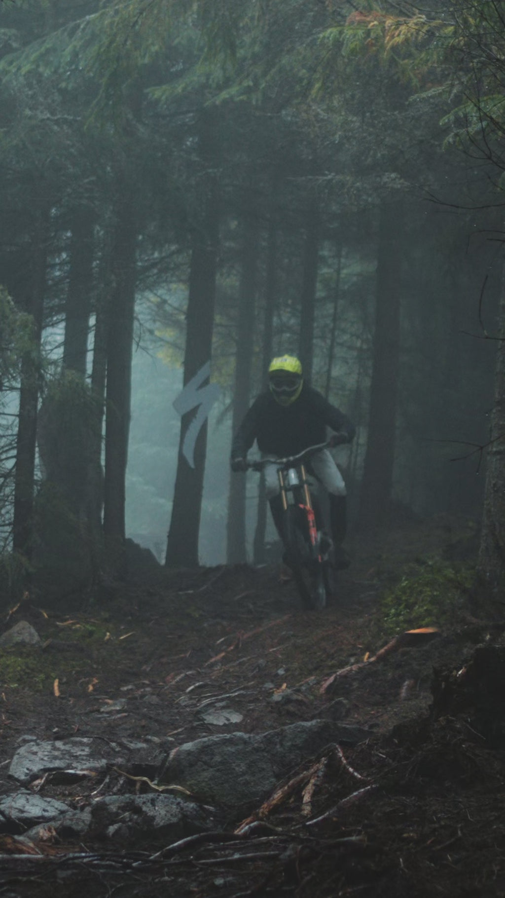 ShredSafe FOX Carbon-Infused Brake Disc Guard