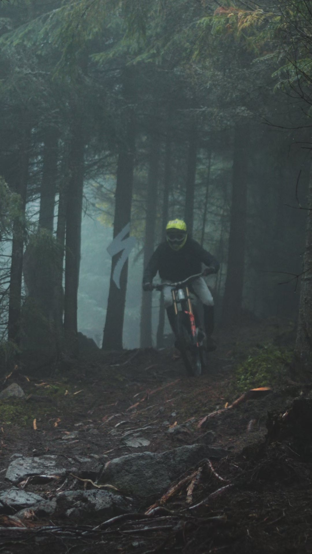 ShredSafe FOX Carbon-Infused Brake Disc Guard