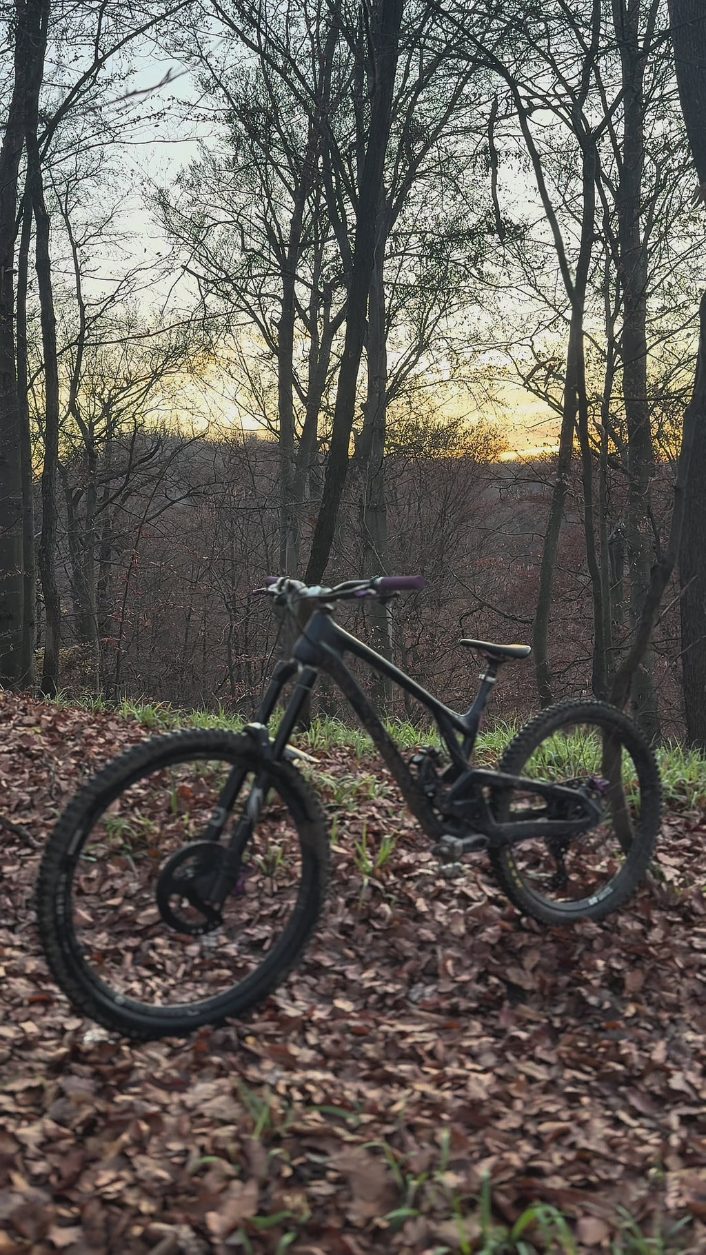 ShredSafe EXT Carbon - Infused Brake Disc Guard